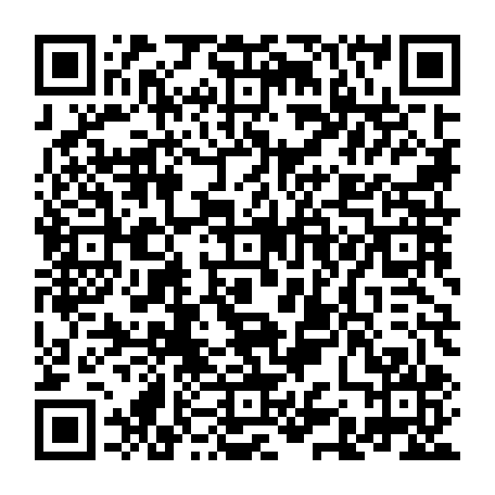 Business UPI QR